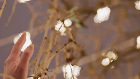 Bright decorations and gentle visual effects enhance setting. Nighttime scene Stock Footage 345525153
