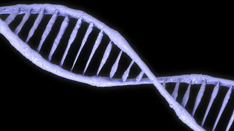 Bright double helix human DNA structure. DNA Strand, DNA molecules, Vector .. Stock Footage 247078644