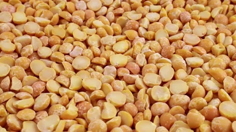 Bright dried yellow peas falling down with circle rotation close up Stock Footage 233500601
