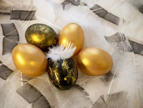 Bright Easter. Golden Easter eggs on soft fluffy feathers. Close-up. top view Stock Photos