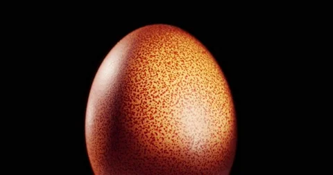 Bright egg shell fresh, raw eggs for the Easter table. Environmentally friendly Stock Footage 154610129