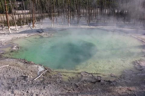 Bright emerald hot spring surrounded by steam in Yellowstone National Park .. Stock Photos