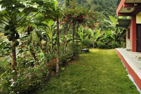 A bright even green lawn in front of the house in the tropics, s Stock Photos