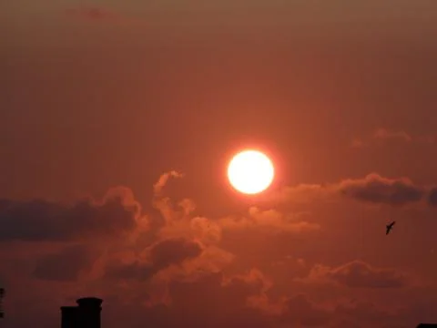 Bright evening sun Stock Photos