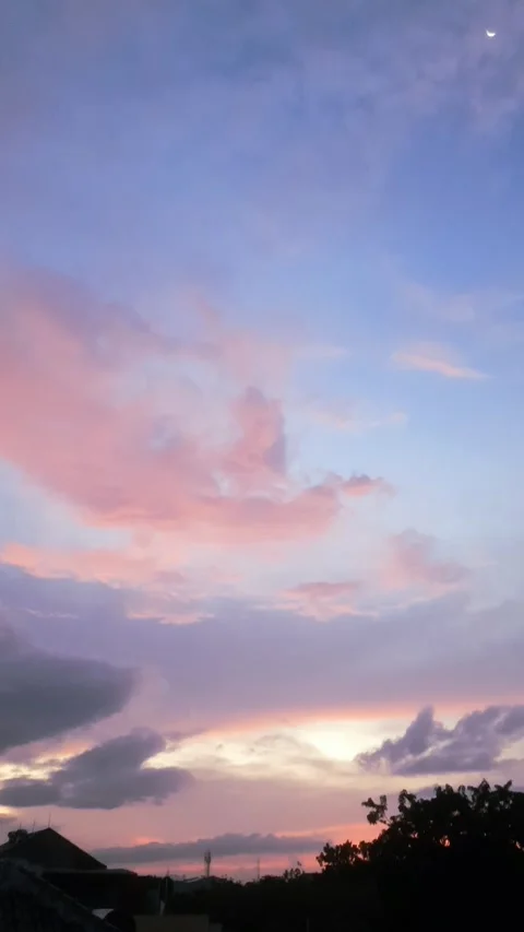 Bright Evening, Vertical 4k Footage Stock Footage 335385657
