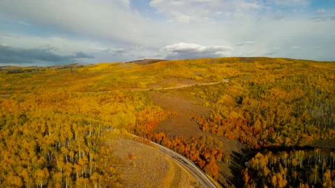 Bright fall foliage along scenic by way route 39 in northern Utah at Monte .. Stock Footage 277378035