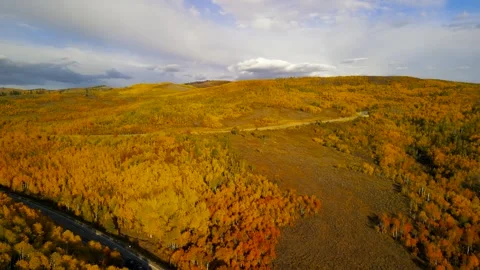 Bright fall foliage along scenic by way route 39 in northern Utah at Monte .. Stock Footage 280737227