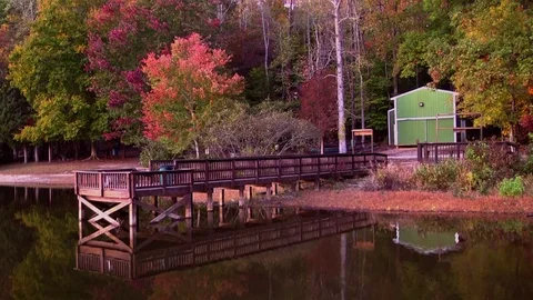 Bright fall foliage pier Video stock 81605696