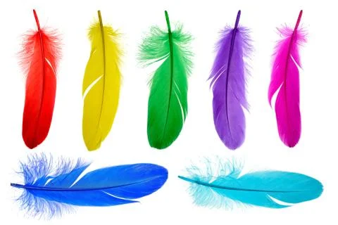 Bright feathers background Stock Photos