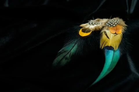 Bright feathers background Stock Photos