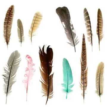 Bright feathers background Stock Photos