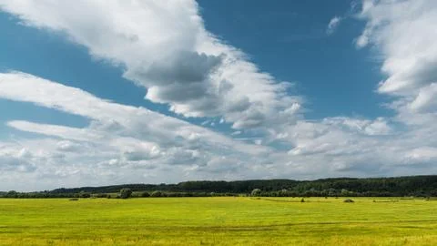 Bright field Stock Photos