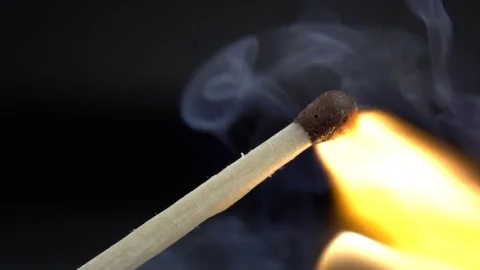 Bright fire on a black background. Video stock 72613411