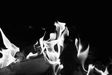Bright fire on a black background at night Stock Photos