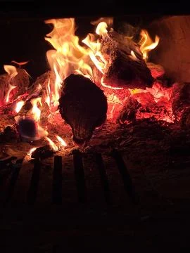 Bright fire from a bonfire Stock Photos