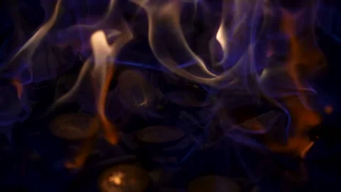 A bright fire burning crumpled paper dollar bills and gold bitcoin coins. Money Vidéo 166334056