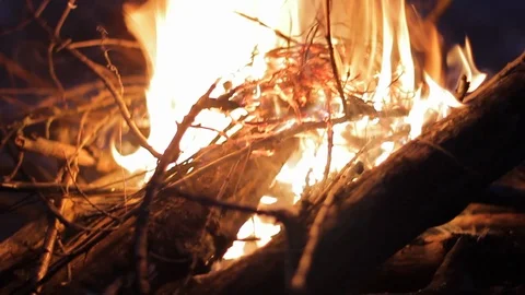 Bright fire burns at night. Stock Footage 123903304