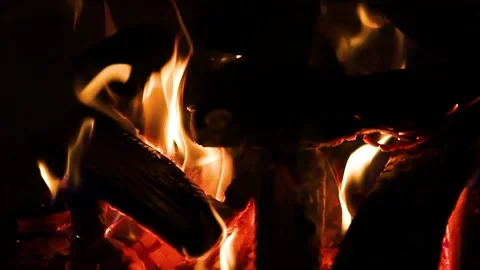 A bright fire in the campfire. Stock Footage 170477461