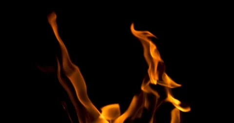 Bright fire of a fire on a black background Stock Footage 89641793