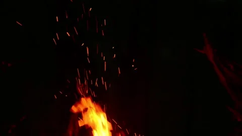 Bright Fire Flames and Sparks on Black Background Stock Footage 341980472