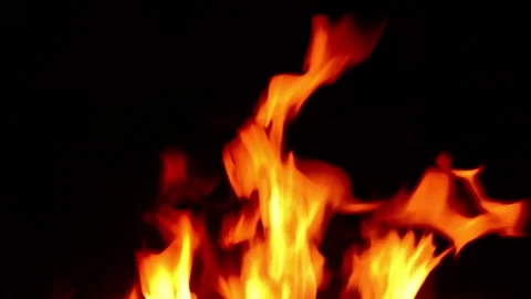 Bright Fire Flames on Black Background Close-Up Stock Footage 341980550