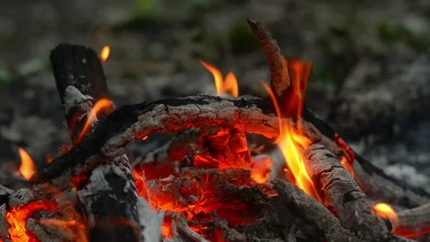 Bright Fire Flames Burning on Charcoal Logs Loop Video stock 342898025