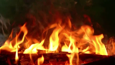 Bright Fire Flames Burning Close Up with Real Sound Stock Footage 341682562