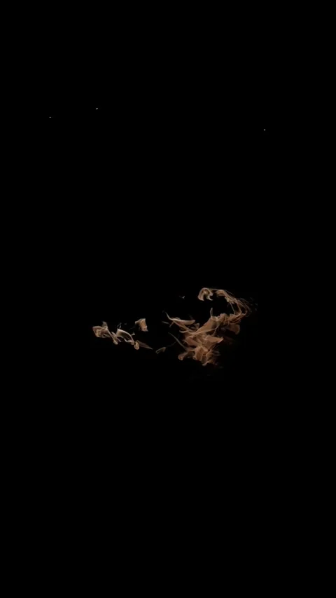 Bright Fire Flames in Darkness. Close-Up of Burning Wood at Night. Stock Footage 320565513