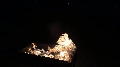 Bright Fire Flames in Darkness. Close-Up of Burning Wood at Night Stock Footage 320565526