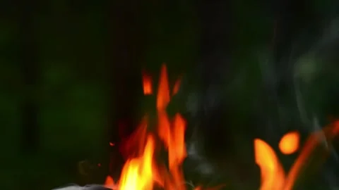 Bright Fire Flames Licking Upwards in Dark Forest Video stock 341980569