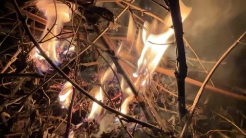 Bright firecamp with sparks at night Stock Footage 304983257