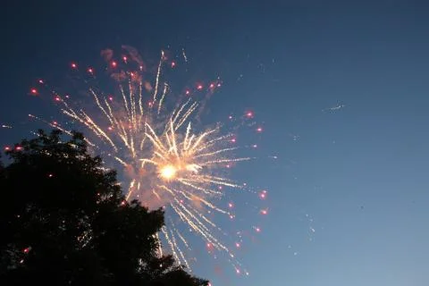 Bright firework burst expanding in the twilight sky next to a tree Фото