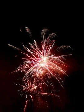 Bright firework explosion in the dark night sky Stock Photos