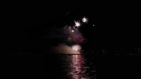 Bright fireworks display, exploding fireworks, slow motion, celebration of light Stock Footage 204101982