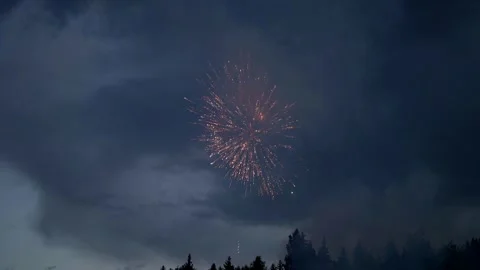 Bright fireworks explode in the night sky above the forest, illuminating the Stock Footage 280699477