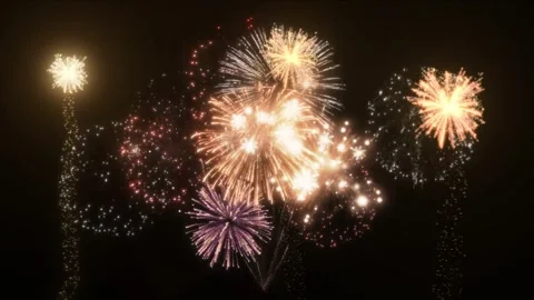 Bright Fireworks Exploding in Night Sky with Dark Silhouettes of Trees and Видео 337527208