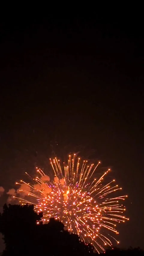 Bright Fireworks Exploding in the Night Sky During Celebration Stockbeeldmateriaal 346905864