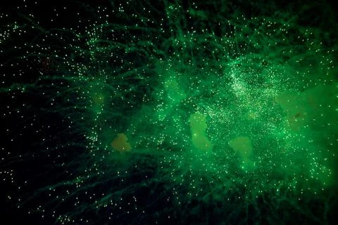 Bright fireworks with a green glowing center with green sparks and smoke flying Foto stock