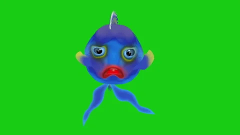 Bright fish Stock Footage 259831179