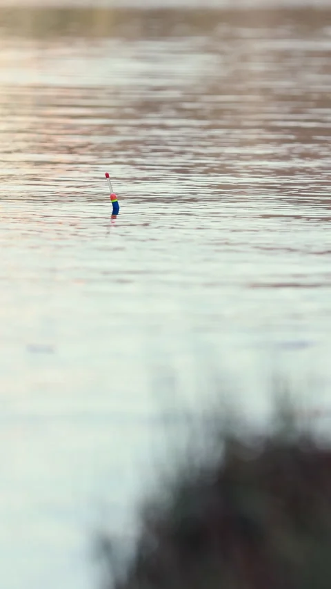 Bright Fishing Float On A Tranquil Lake With Soft Ripples. Concept Of Patience,  스톡 동영상 314504919