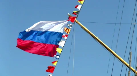 Bright flags with big russian flag against blue sky Stock Footage 51230057
