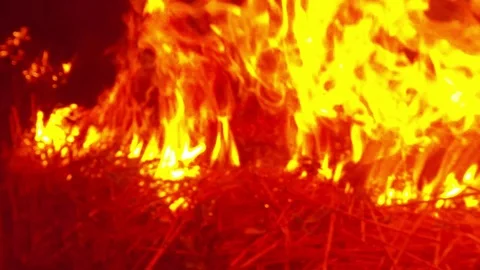 Bright Flame Absorbing Dried Grass Movement on Burning Line Darkness Stock Footage 74853860