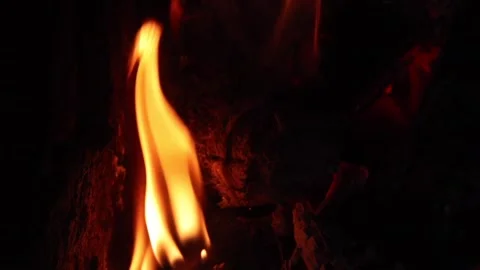 Bright flame burning among glowing embers Stock Footage 336532552