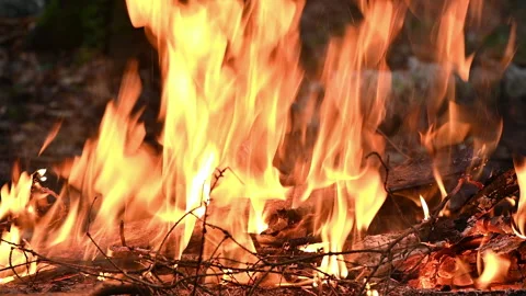 Bright flame of burning bonfire close-up Stock Footage 224711202