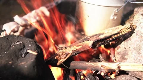 Bright flame of burning bonfire in dark on background of pine forest in evening Stock Footage 156264202