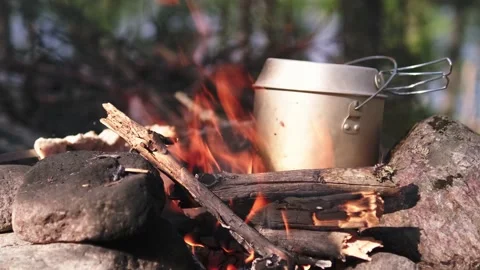 Bright flame of burning bonfire in dark on background of pine forest in evening Stock Footage 156264227