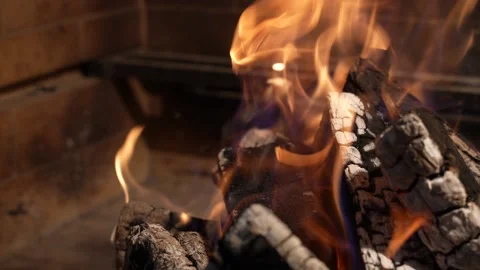 Bright flame of burning bonfire in dark on background of pine forest in evening Stock Footage 163596440