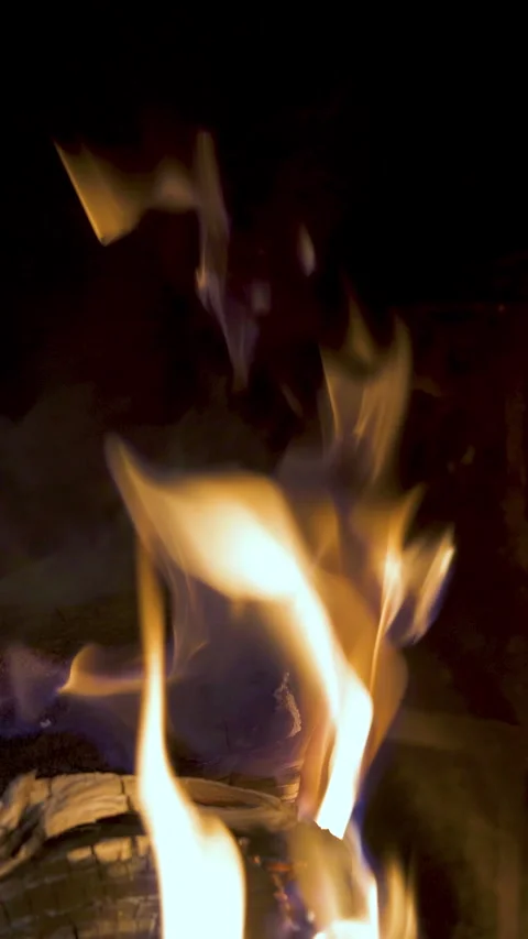 Bright flame burning in brick fireplace. Wooden logs in fireplace in cozy lodge. Stock Footage 290763959