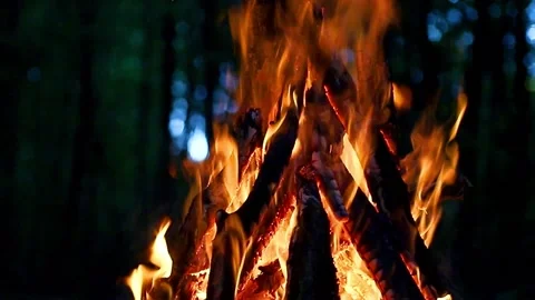 Bright flame of a burning fire in the dark on a background of forest in the summ Video stock 170516655