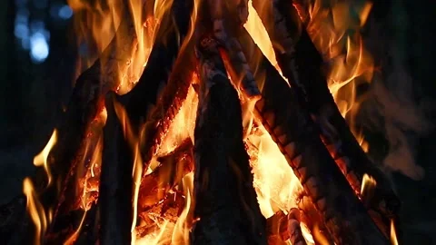 Bright flame of a burning fire in the dark on a background of forest in the summ Video stock 170516773